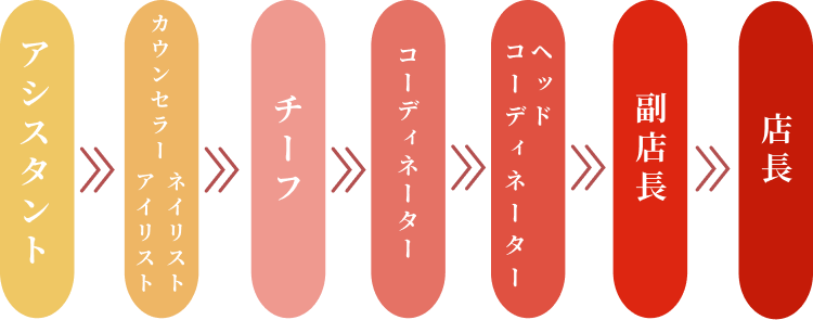 アシスタント → 各職種 → チーフ → コーディネーター → ヘッドコーディネーター → 副店長 → 店長